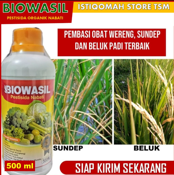 Bioawasi